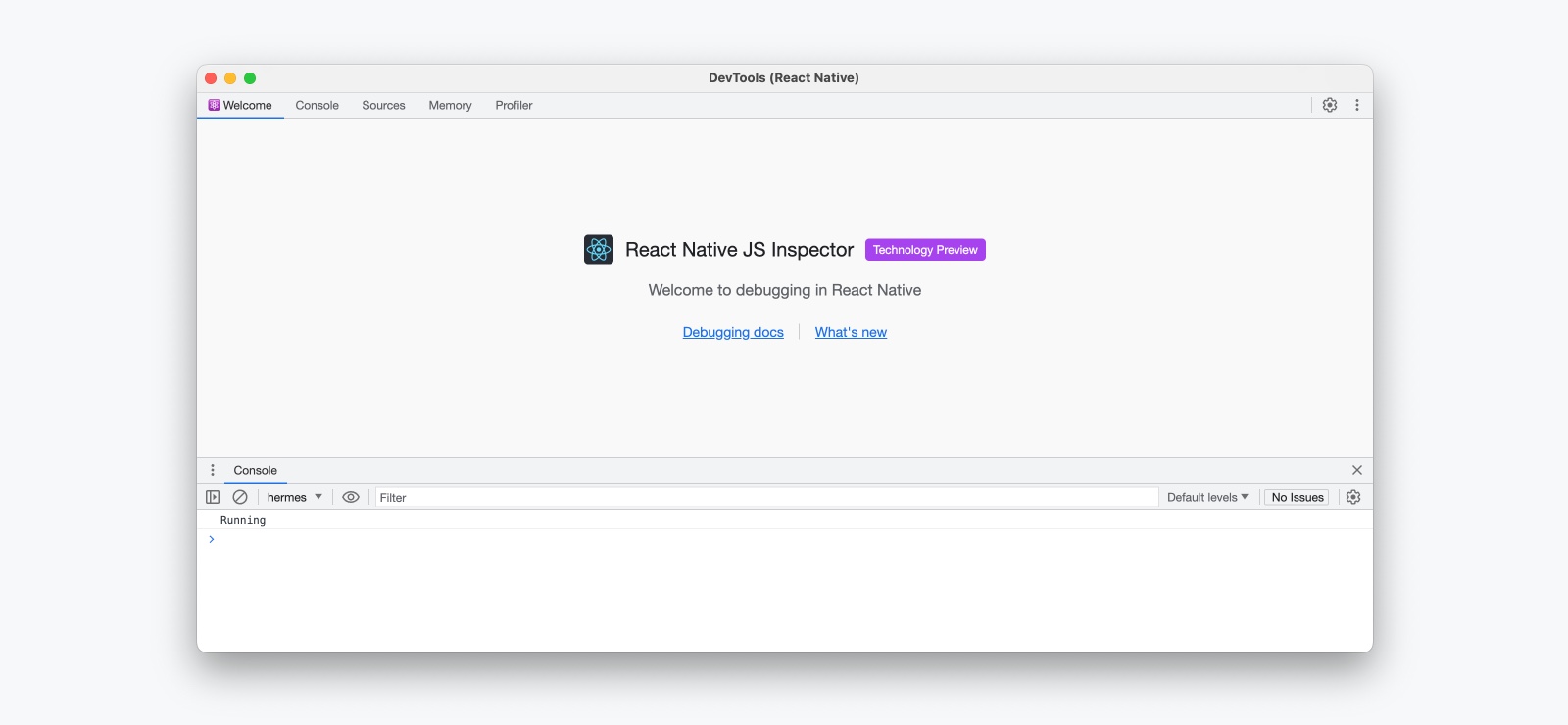 The new debugger frontend opened to the "Welcome" pane